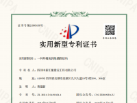 实用新型专利（一种外墙免拆除锚固结构）